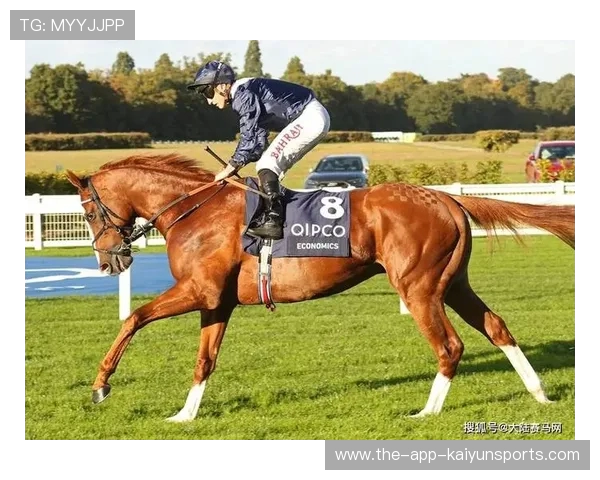 印度亿万富翁马球赛中吞蜂猝死 罕见过敏反应夺命